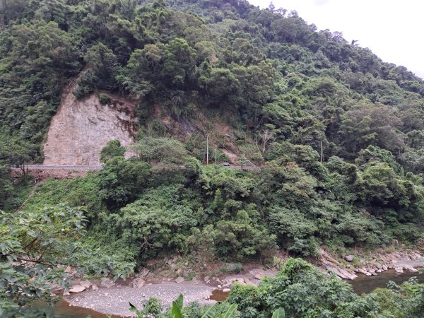 新北五寮尖登山步道3103269