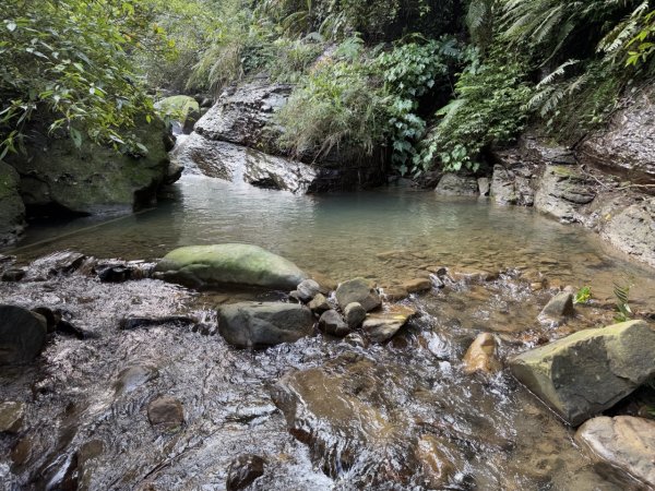 2025/02/17 姜子寮絕壁瀑布 姜子寮山2908689