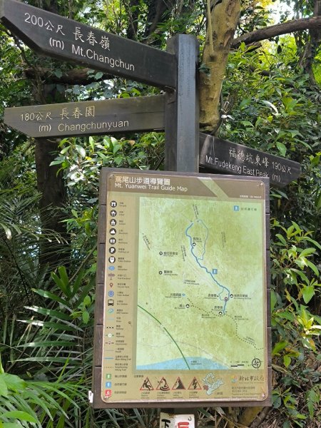 20250824鳶山彩壁2868538