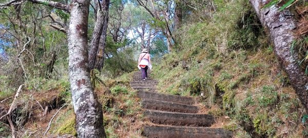 20250114東埔山；20250115二延平步道2693812
