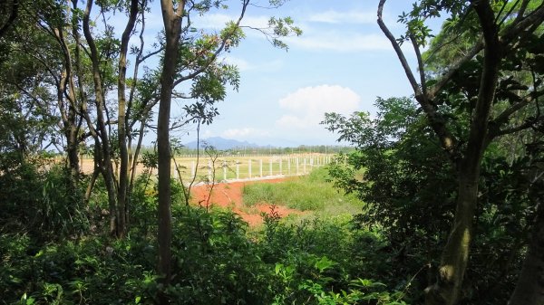 頂福巖森林步道(林口森林步道)2283250