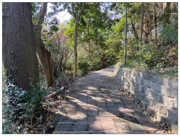 老崎古道、老崎坪頂山 (頭份)2737176