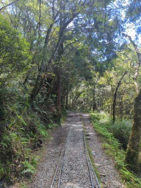 2025.09.28－見晴懷古步道2898764