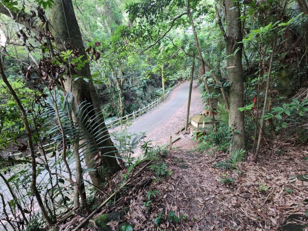 20240721泰安登山步道登七塊山2599952