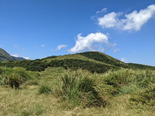 內寮古道竹篙山南峰1463147