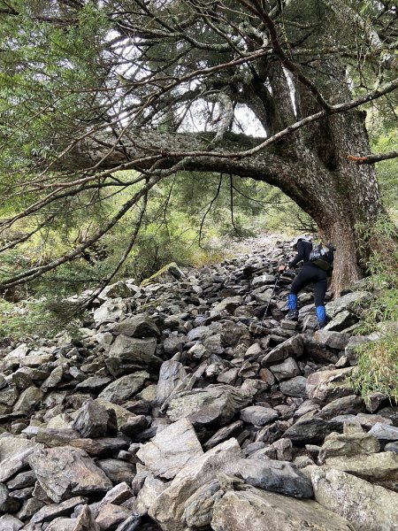 20230515-16玉山前西峰+遠望雨中的主東北2436654