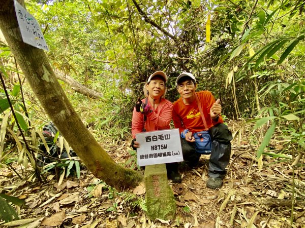 西白毛山.白毛台山.砂連山.沙蓮山西南峰.大茅埔山輕鬆撿  恩仔2021/11/4