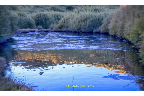 大小劍-油婆蘭全紀錄2674183