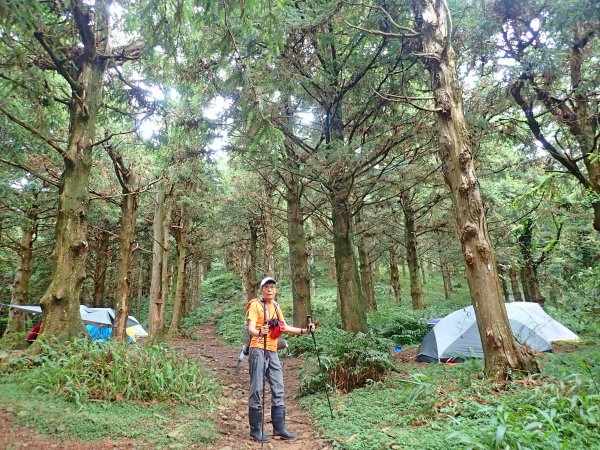 大雪山大崠山避暑趣2019/7/21634421