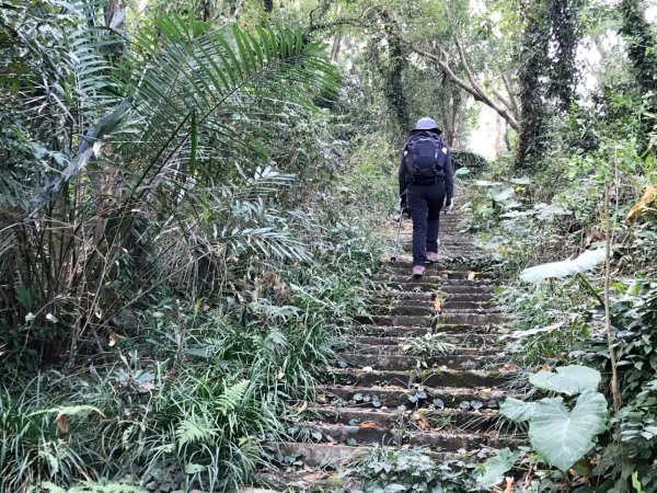 烏山步道走刣牛湖山468606