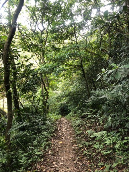 猴山岳-二格山-南邦寮山922544