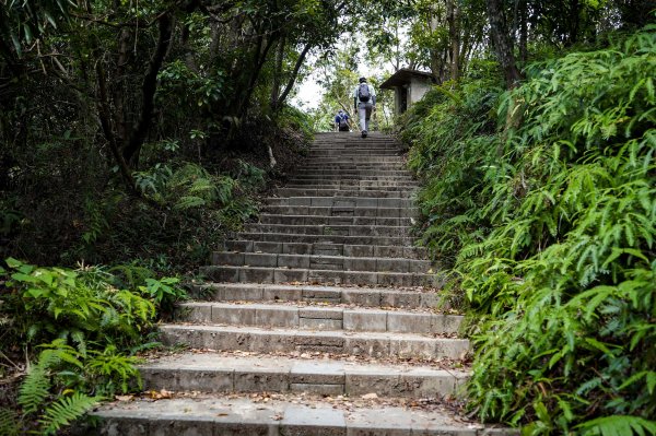 劍潭山小百岳｜老地方觀機平台2886018