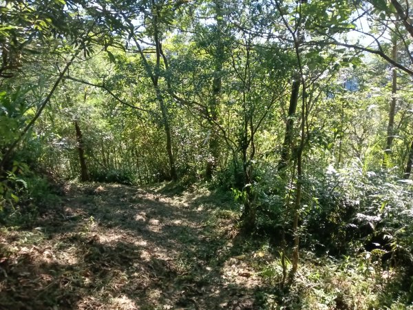 雙溪區豹子廚越嶺保甲路2876995