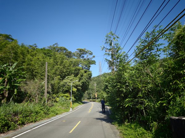 [淡蘭古道] 2026_0614 南路第二段_倒照湖山步道3096899