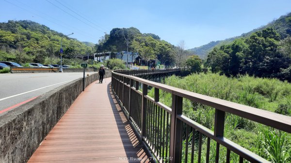 《彰化》登山逛市集｜臥龍坡步道環藤山步道202503222740495