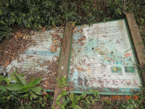 沙溪林道23.5K尾寮山步道東入口112865