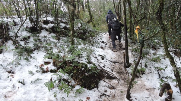 2021元旦瑞雪兆豐年內鳥嘴山追雪成功1222718