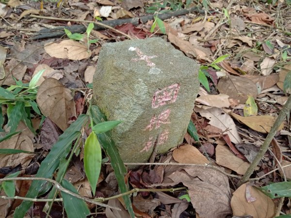 20220226台中和平尾文坑山、三叉坑山、穿龍山、大湖桶山基石1619040