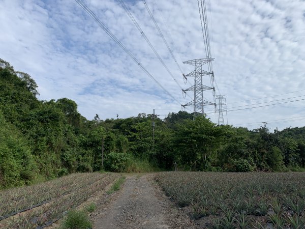 20250419屏東佳平山-虻彈山2767935