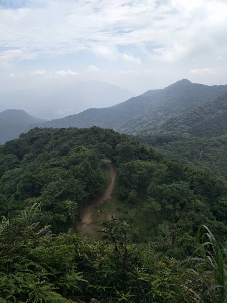 2021 05 11 獅仔頭山登山步道1384438