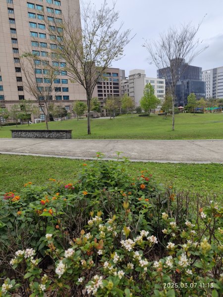 內湖大港墘公園、西湖圖書館、湖光教會、737巷美食街2729398