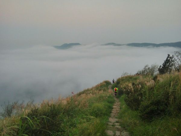 105.10.陽明山 竹篙山 頂山 石梯189636