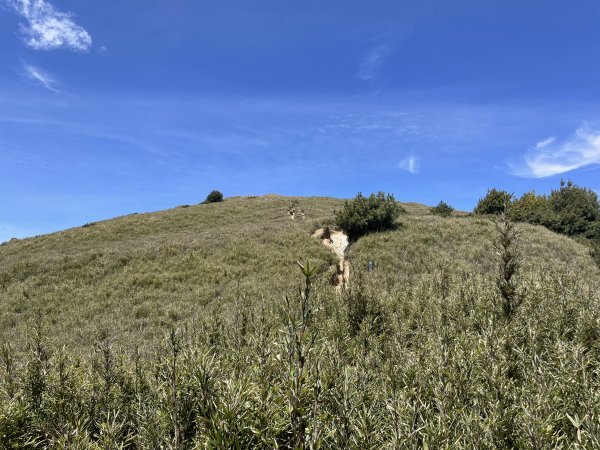 合歡北、西峰(三訪)113.04.212492801