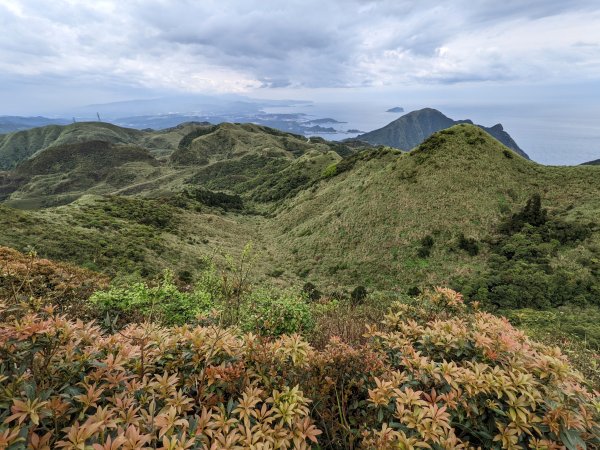 石尾路步道燦光寮山1655502