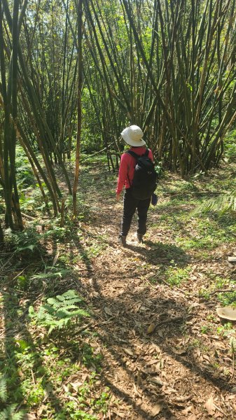 2025-0130溪和宮-大崎頭步道-鵝尾山-平溪步道-鵝尾山水田-42巷-溪山百年古圳-平菁步道2701878