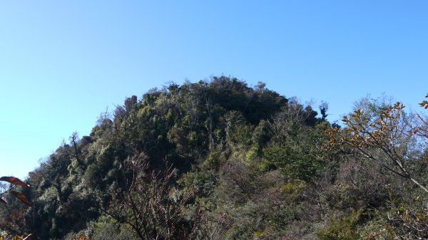 加里山登山健行趣(小百岳42)1527351