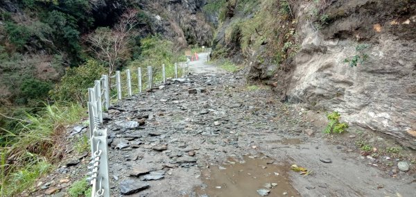 【新聞】白楊步道受落石影響，步道封閉