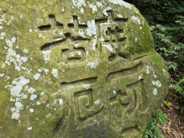 桃園石門山（小百岳）2910072