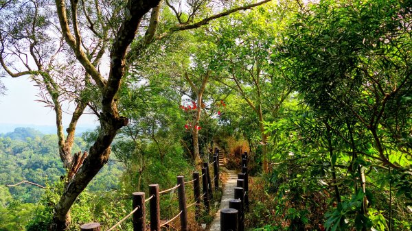 大社觀音山2954783