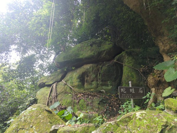 2025.06.14－圓山經基隆河畔到芝山巖2811640