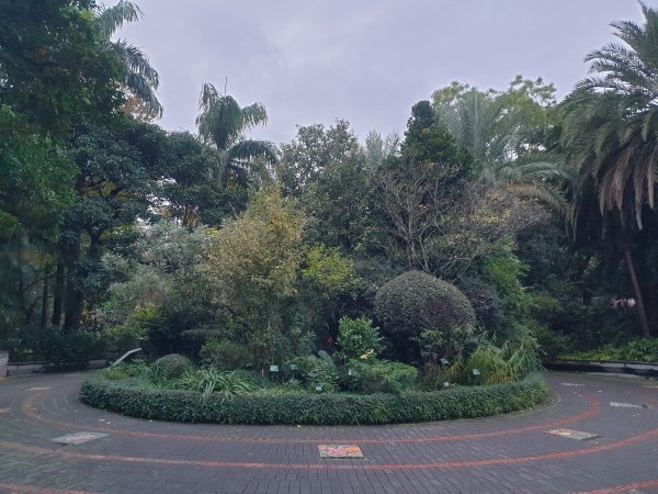 植物園1589351