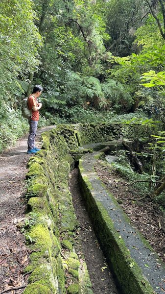 我的夏日健行→絹絲瀑布步道→冷水坑2203653