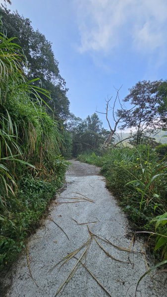 【稜線瘦如刀鋒，山形橫亙如屏風】解鎖第55座小百岳 #045 大橫屏山2932854