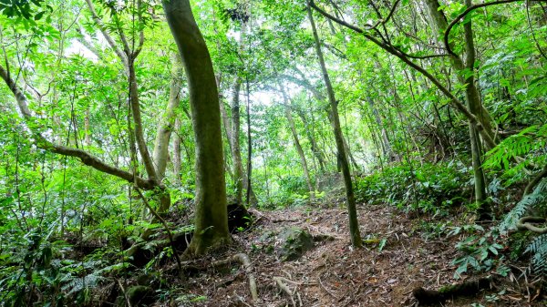 大邱田石門洞2856203