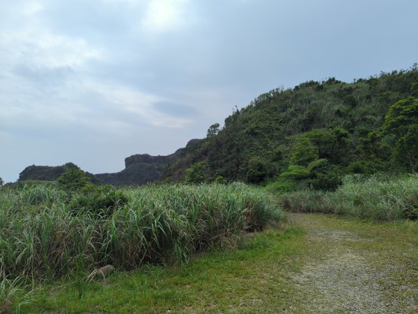 2025.05.03－燦光寮山O行縱走2782451
