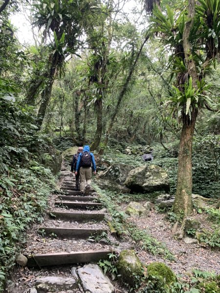 抹茶山（三角崙山）（宜蘭縣礁溪鄉）2517996