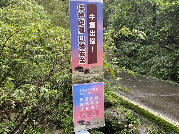 《2025草嶺古道芒花季｜雨天版完整攻略 × 七顆寶石路線實走》2949328