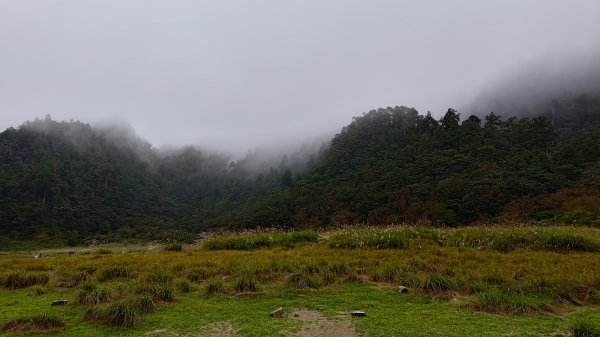 棲松縱走未竟2918408