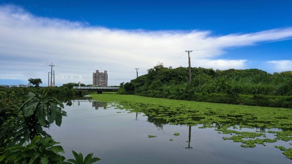 三奇美徑,52甲濕地,傳藝中心2518193