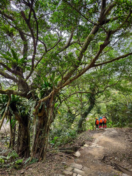 2025-01-19 大里天公廟~埡口2695393
