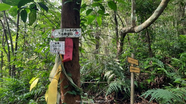 《苗栗》關刀出關｜三義關刀山出關古道(聖關段-苗56)202509052878786