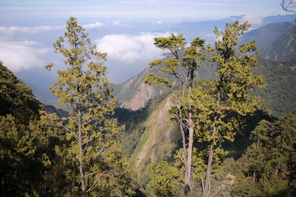 鳶嘴山：連走稍來山82187