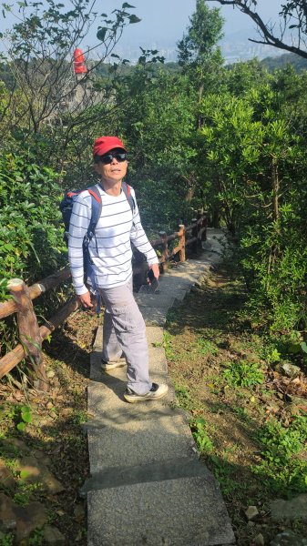 2025-0204 鶯歌_大凍山_三角埔頂山_迴龍2707919