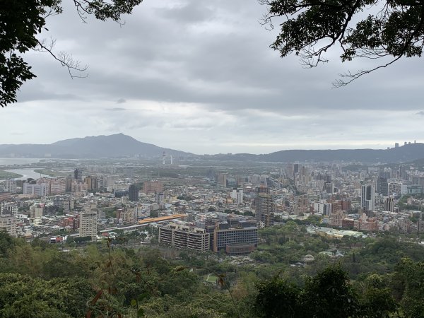 劍潭山步道1295165