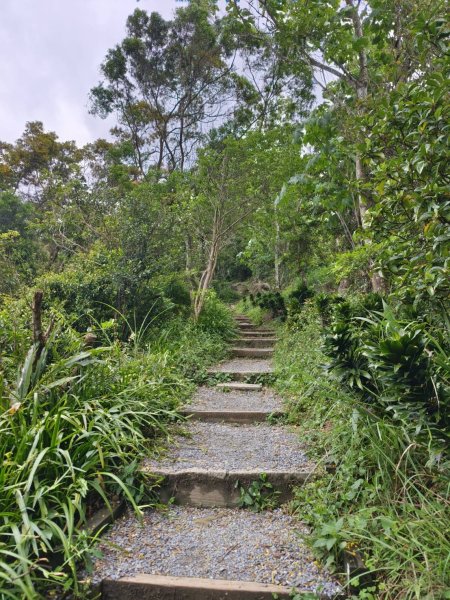 新北市-烘爐地山3053864