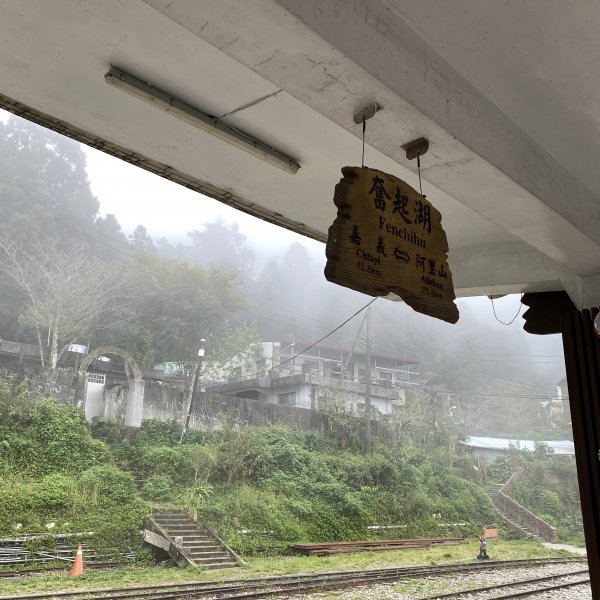 小百岳-嘉義大凍山1137845